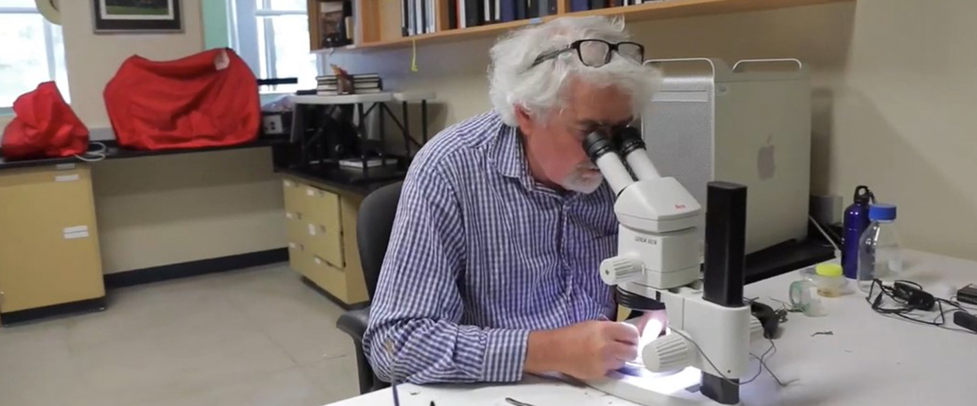 Koffler Scientific Reserve - Researcher using microscope
