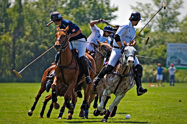 image of several people riding horses playing polo