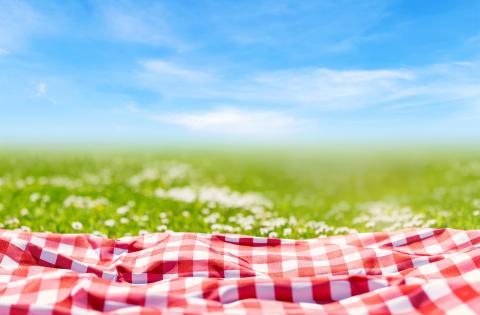 Red and white checkered tablecloth on a green field with blue sky above it