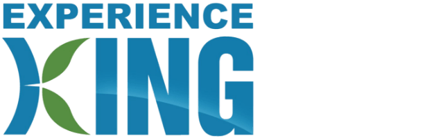 Experience King Logo