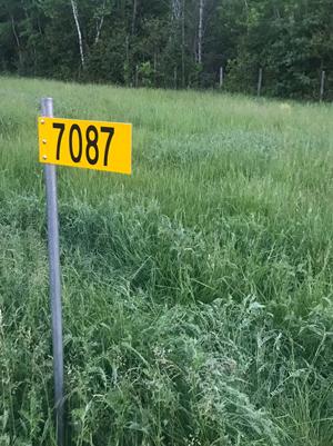 Farm 911 Emily Program Sign