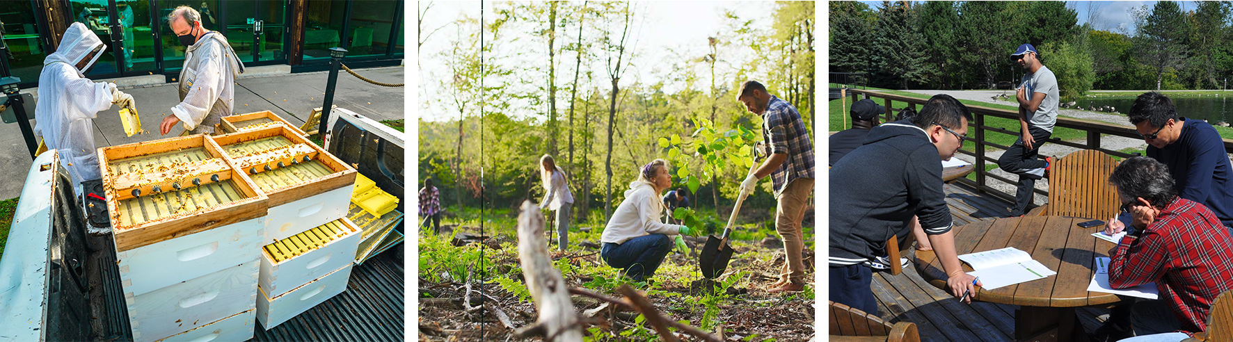 three images from left to right: two bee keepers, people planting trees, several people outdoors for a meeting