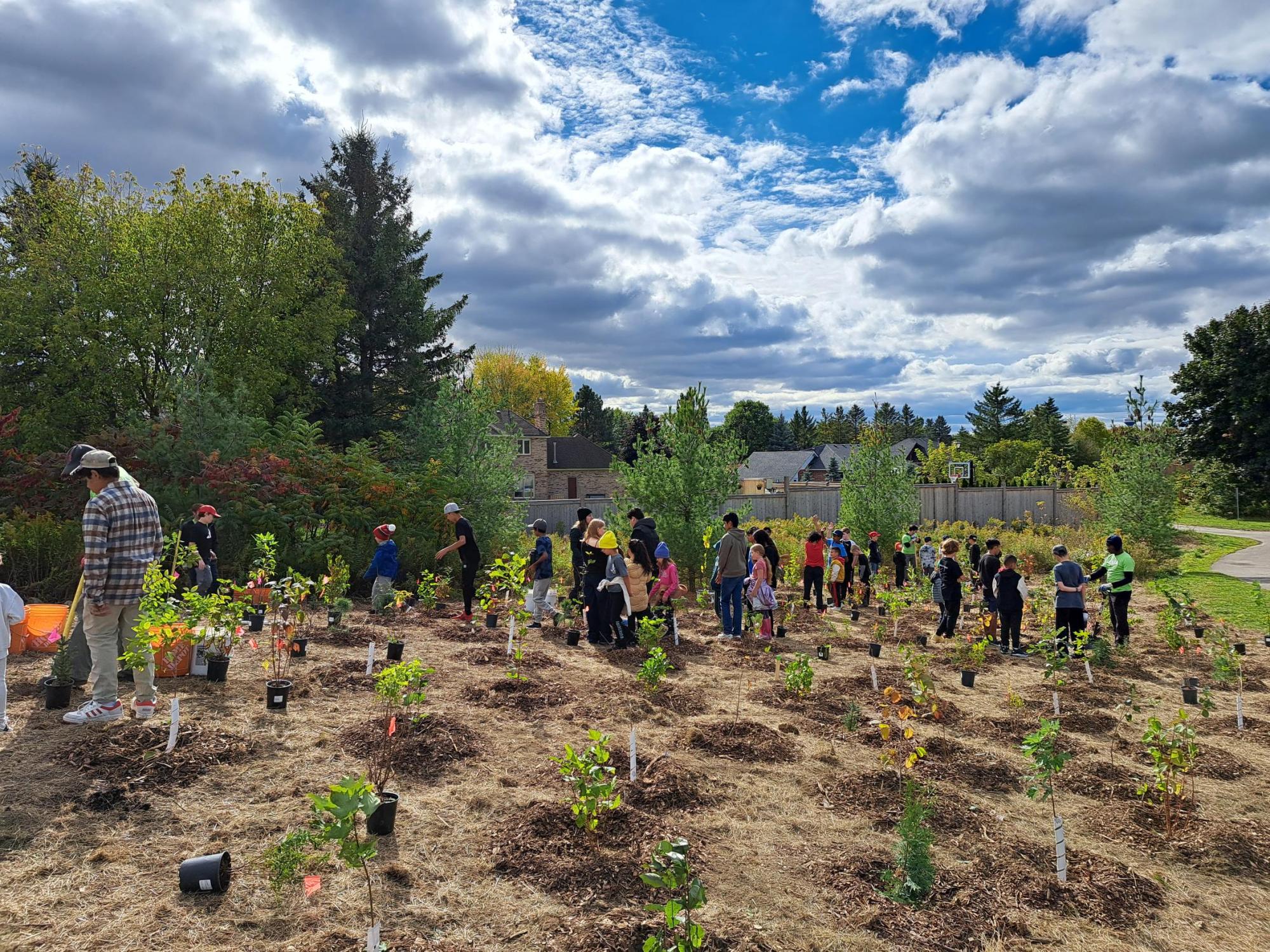 Community Plantings
