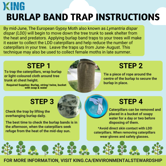 Burlap Band Trap