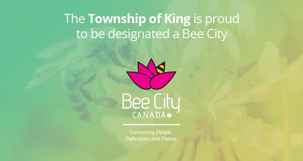 King Township's bee city certified flyer