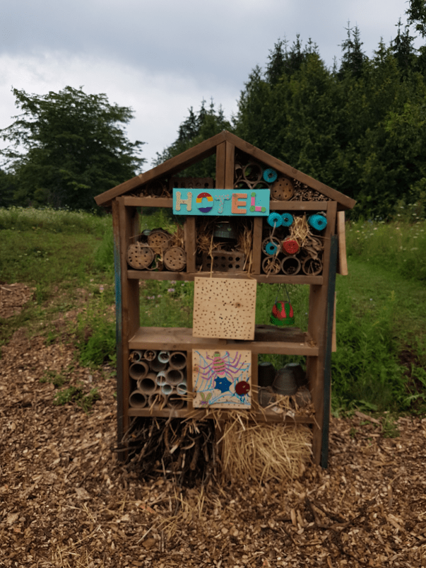 bee city hotel made at Cold Creek Conservation Area
