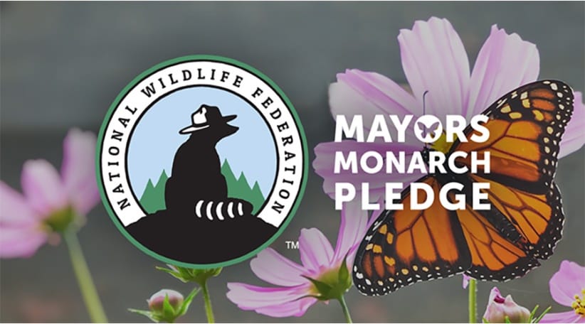 mayors monarch pledge flyer