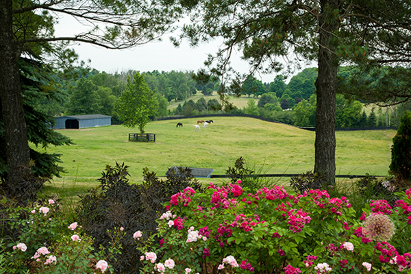 Garden Tour