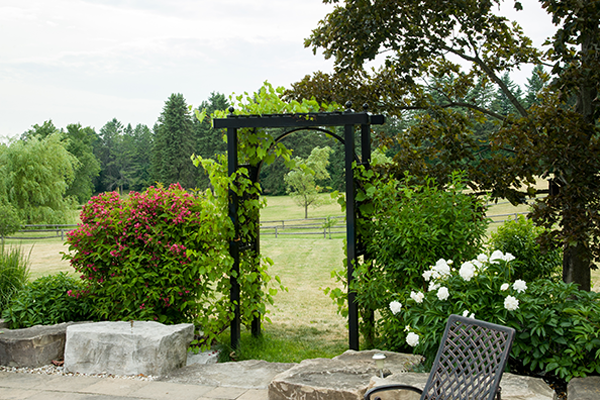 beautiful garden with regular door sized archway