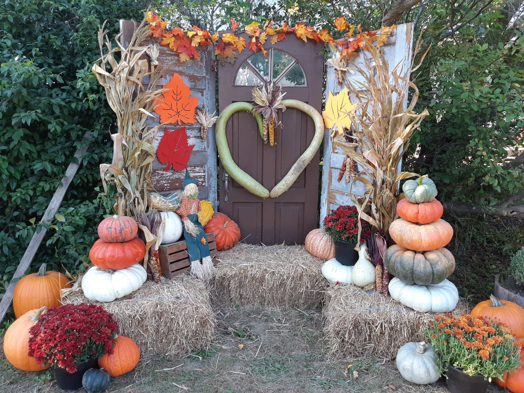 Photo Opportunity in Pumpkin Patch