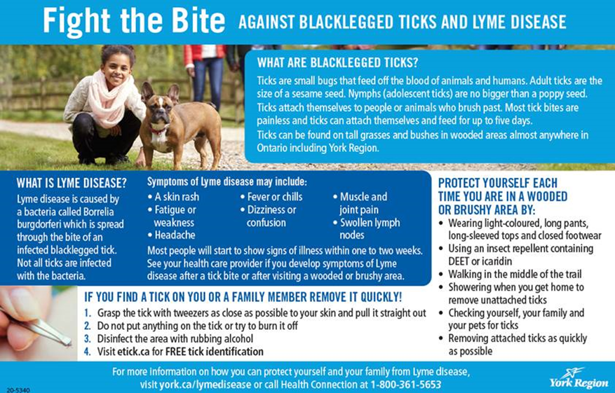 infographic on ticks