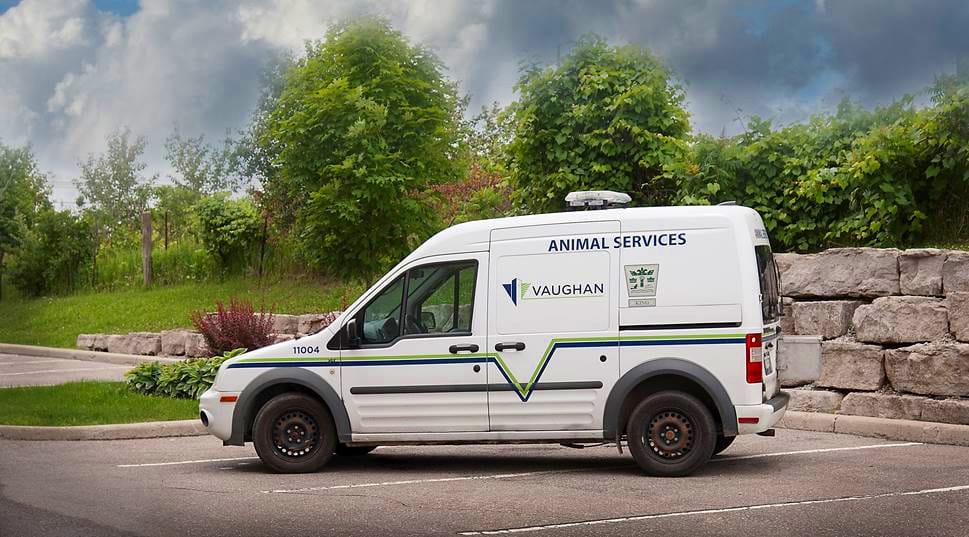 Vaughan Animal Services Van