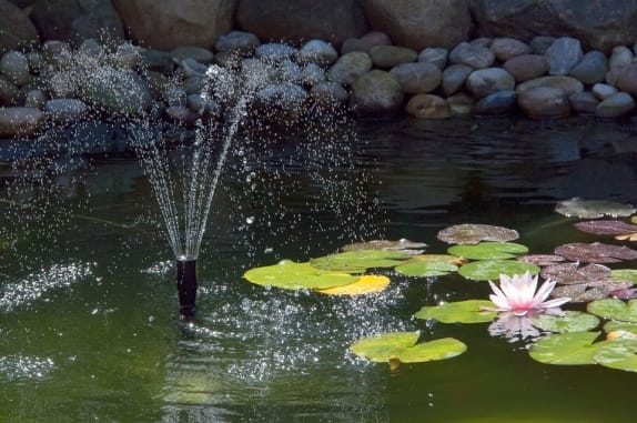 Pond with foundtain