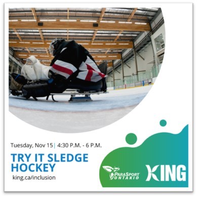 Try it sledge hockey