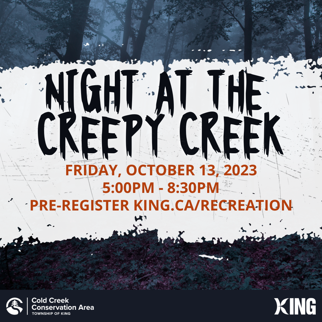 A Night At The Creepy Creek