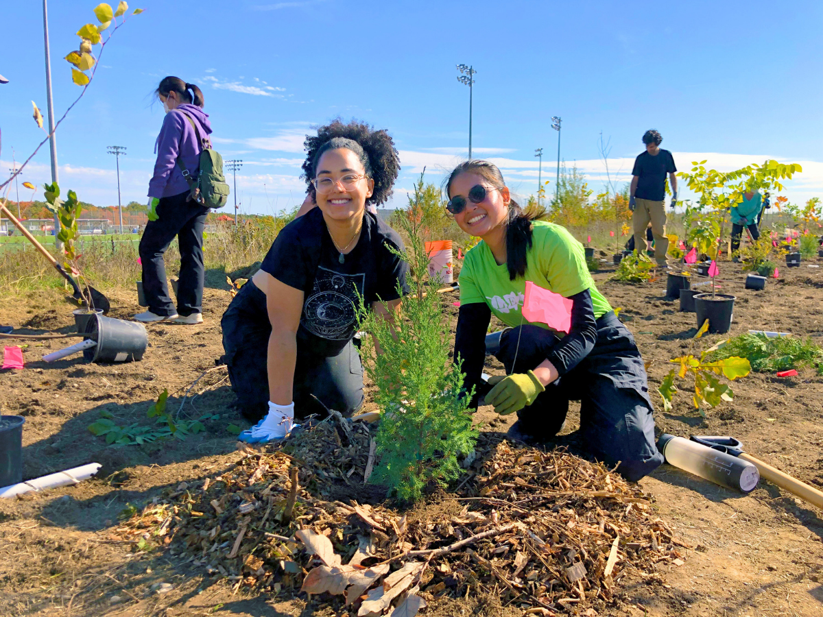 Community Tree Planting with LEAF