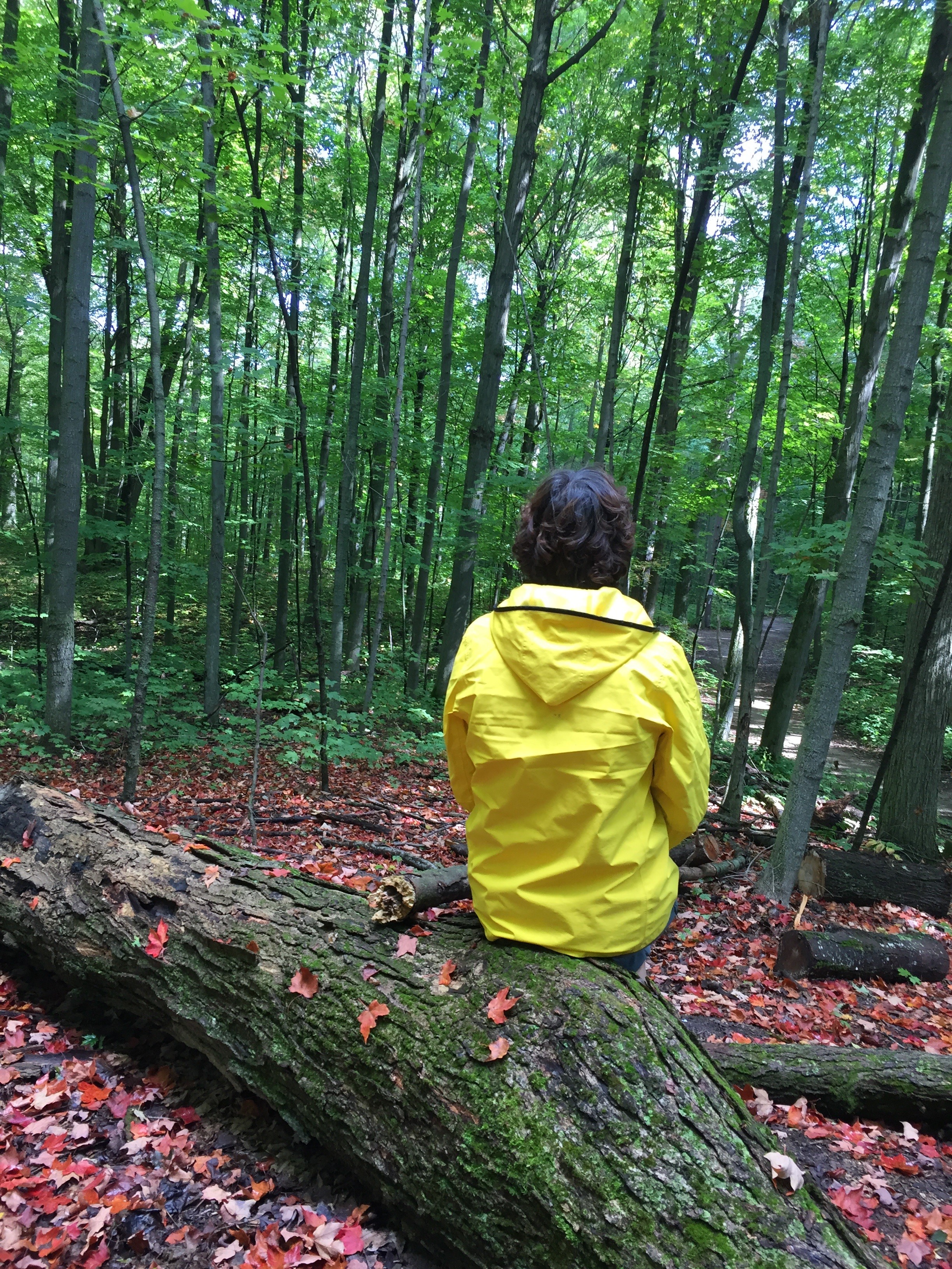 Cold Creek Conservation Area trail