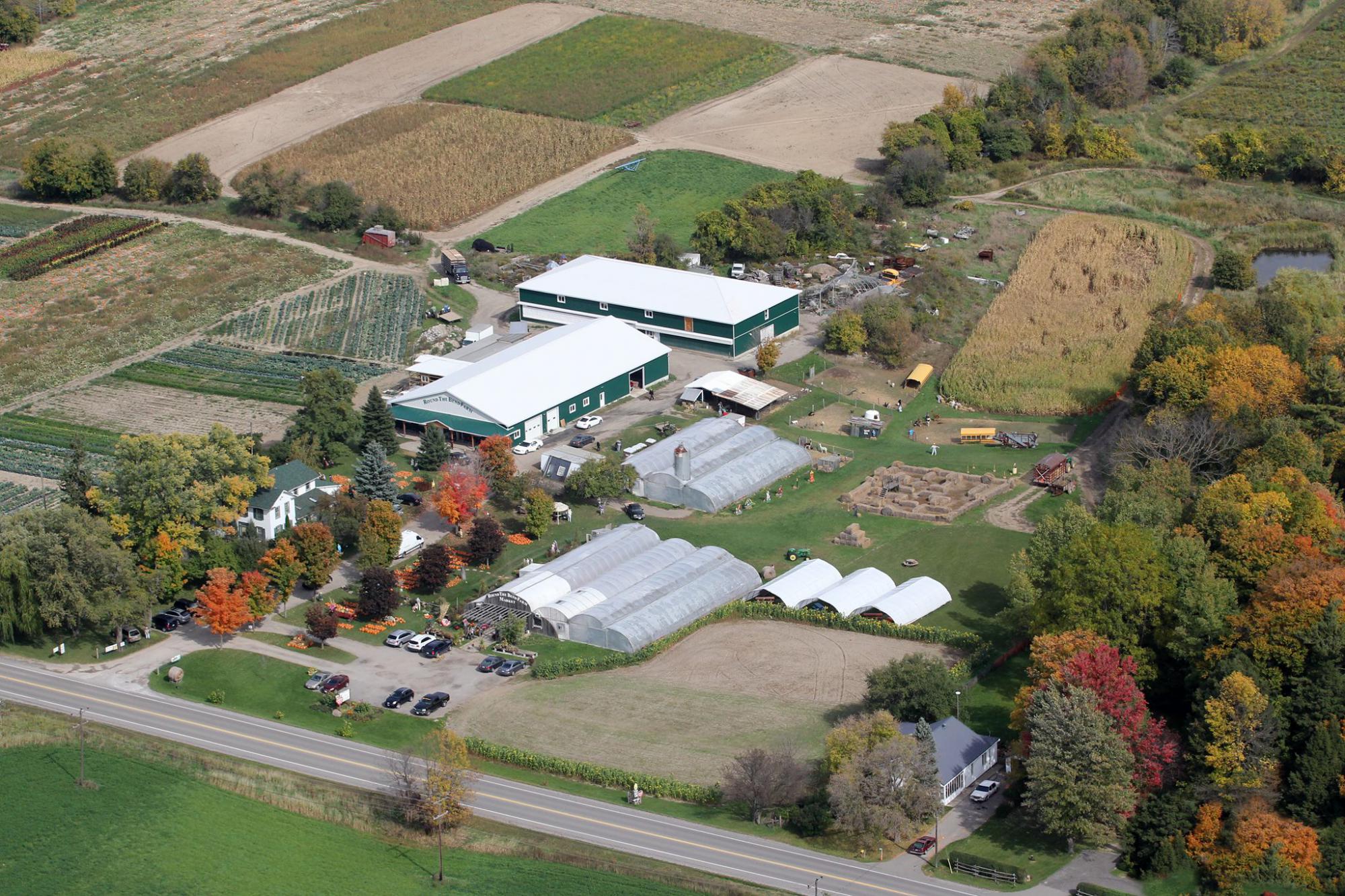 Holland Marsh farm