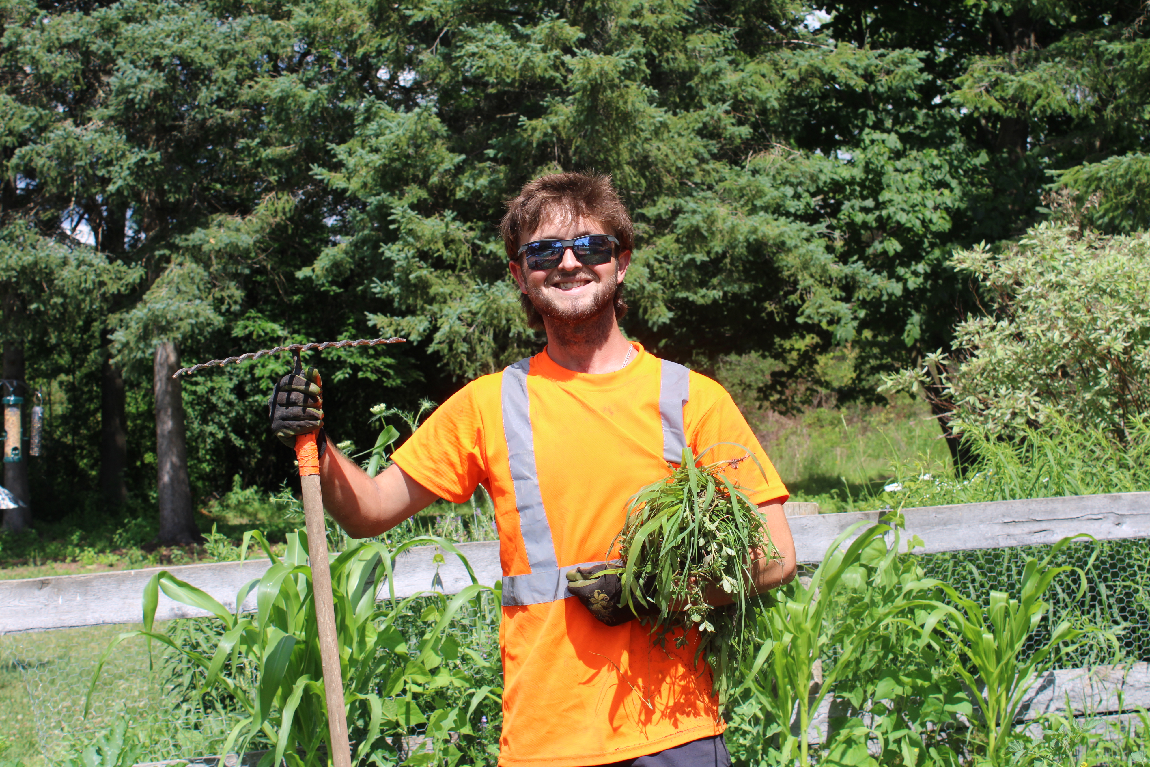 Staff member maintaining greenery