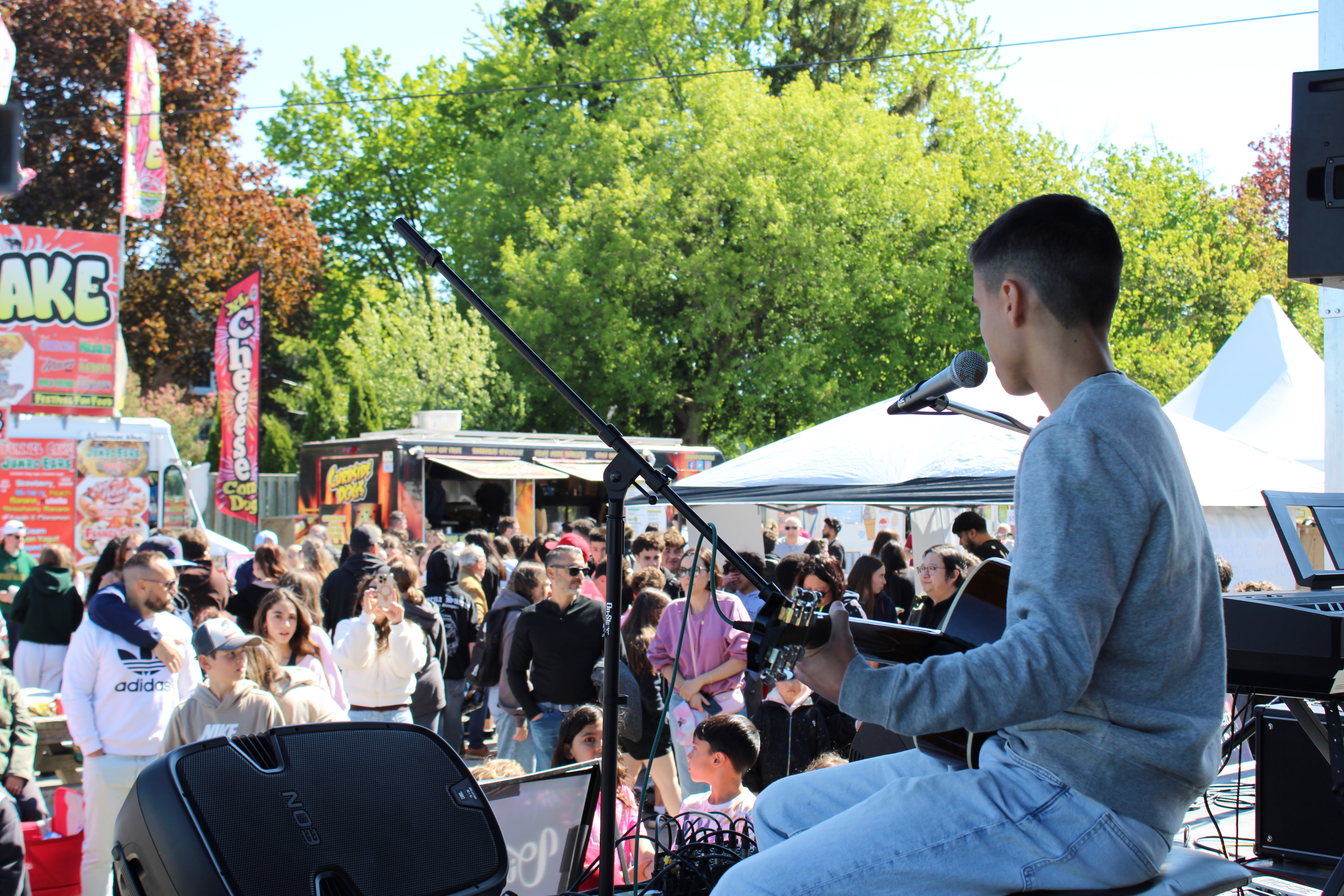Crowd watching live music performance on stage