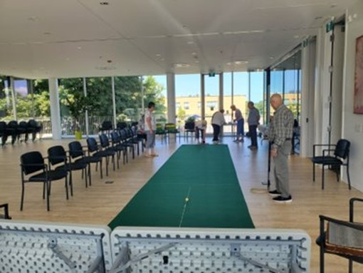 Carpet Bowling