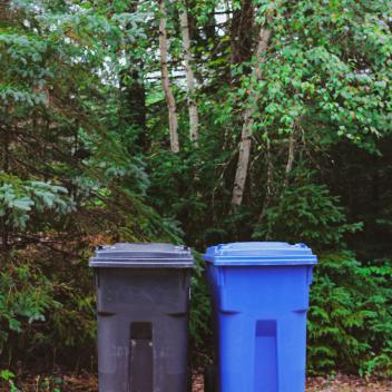 Garbage & Recycling Bin in front of trees