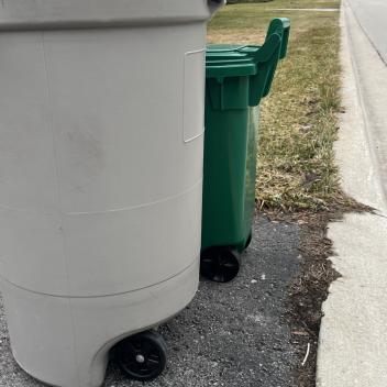 Green bin and garbage bin by the curb
