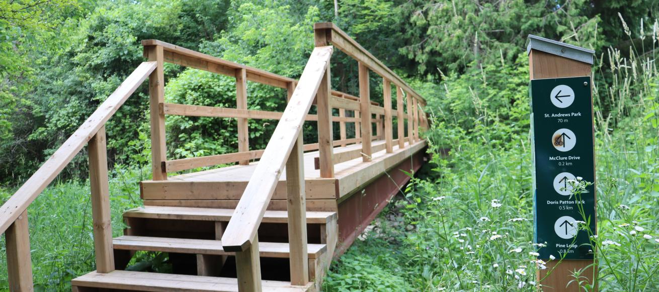 King City Pine Loop Trail bridge