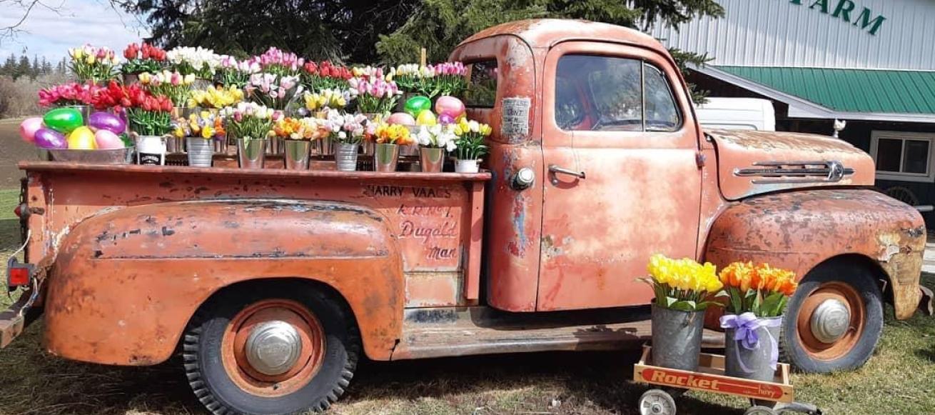 classic truck decorated with spring flowers at round the bend farm 