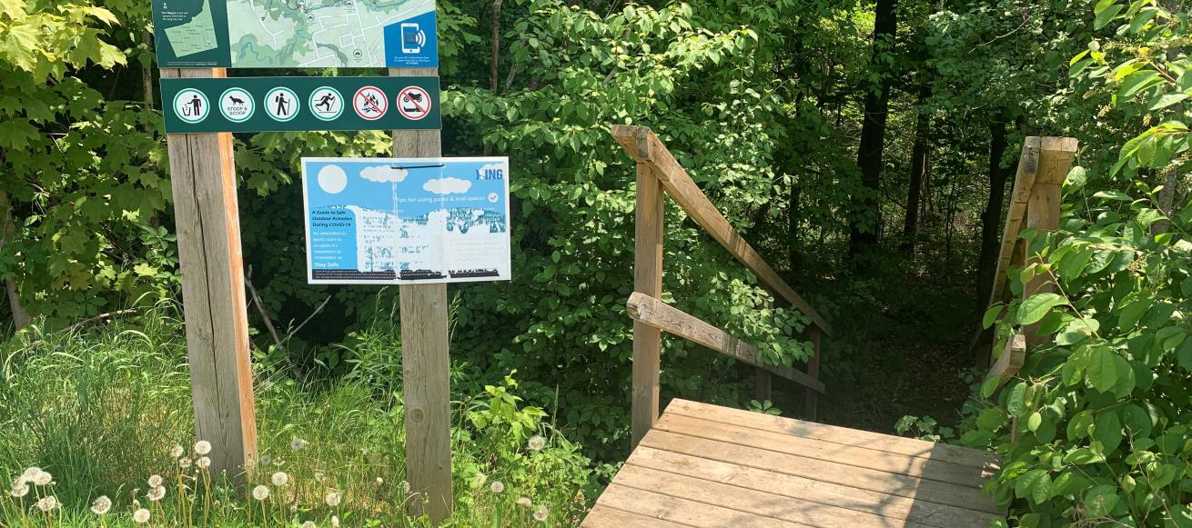King Coty Trails