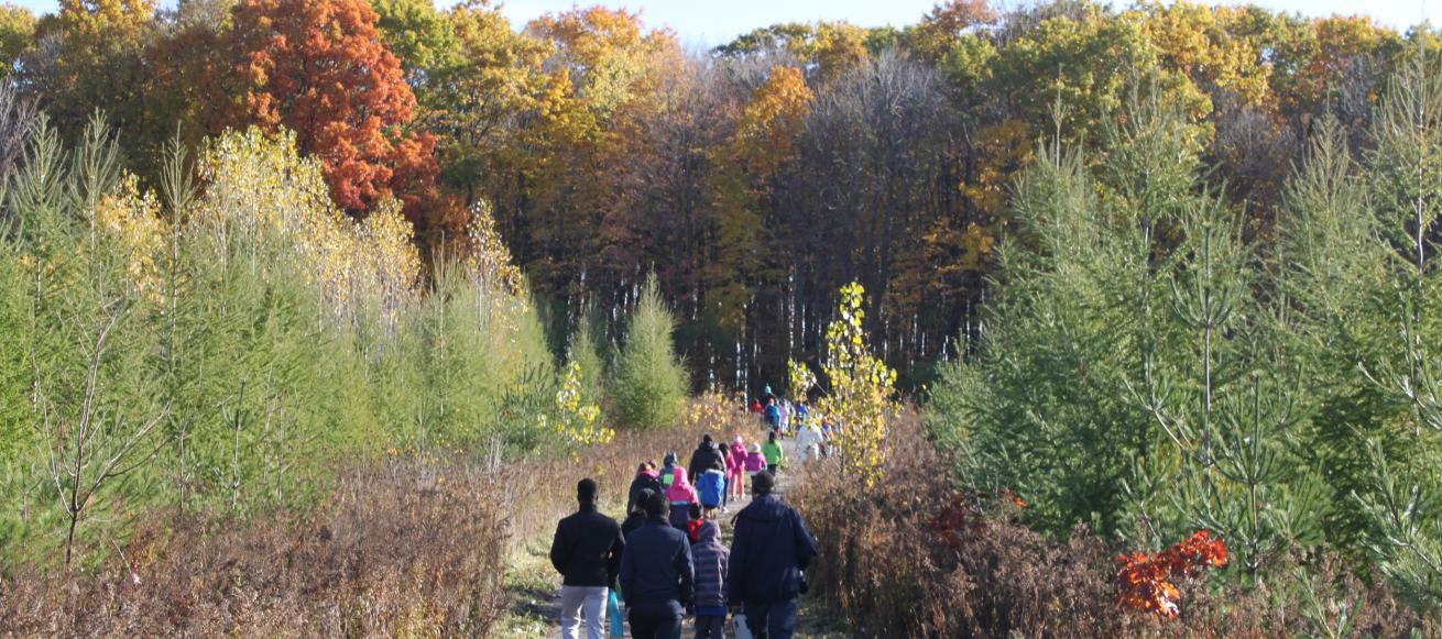 Fall hike