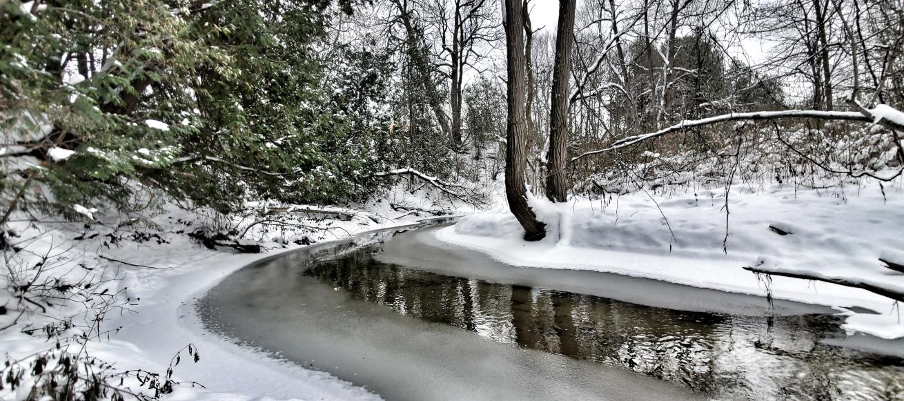 Winter Stream