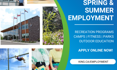 Employment
