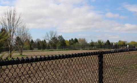 Tasca Park Dog Park