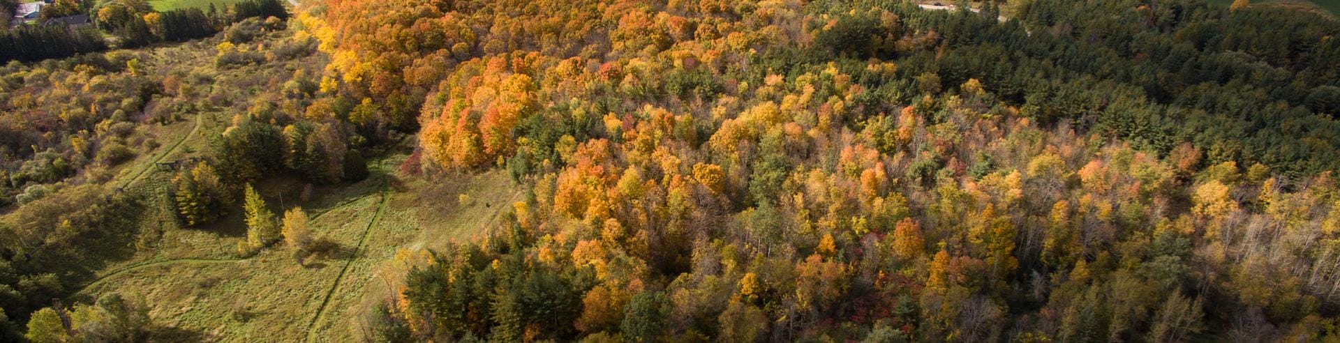 North-west aerial view of Cold Creek Conservation Area