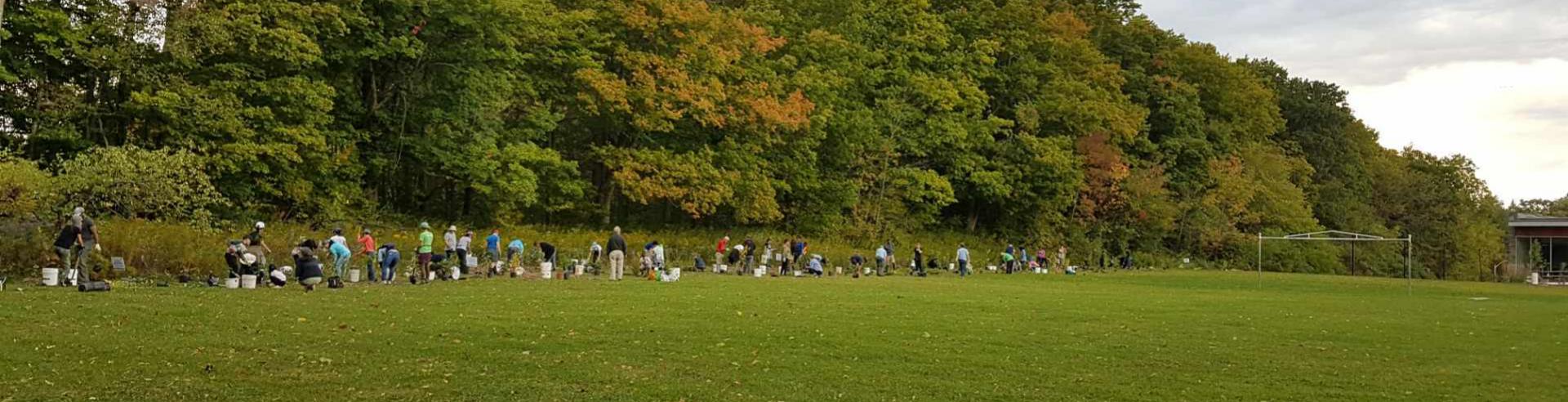 picture of tree planting at King Township Municipal Centre