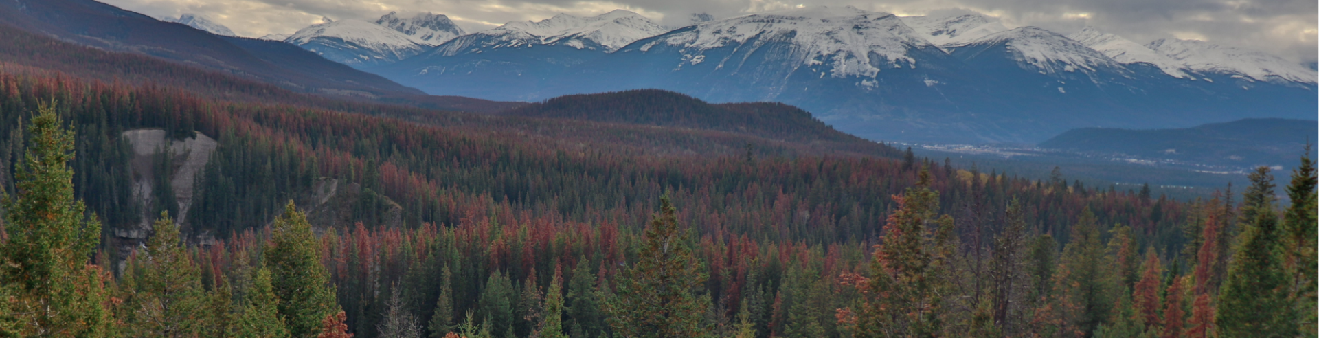 Canadian Landscape