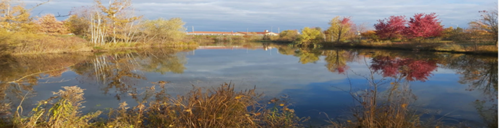 Stormwater management pond 