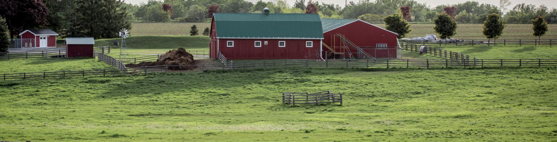 image of red barn in background of farm scenescape