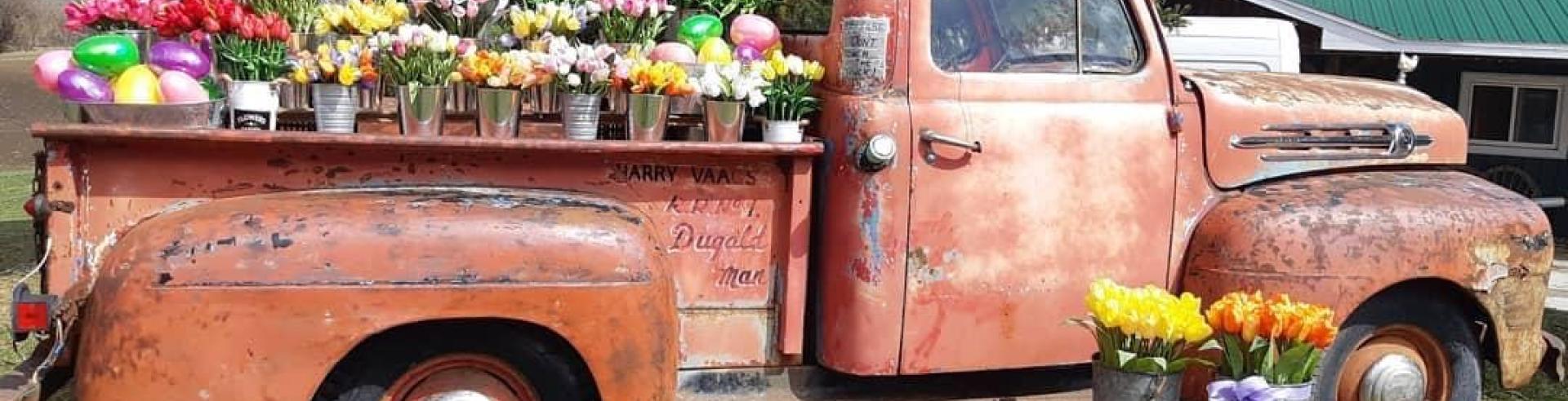 classic truck decorated with spring flowers at round the bend farm 