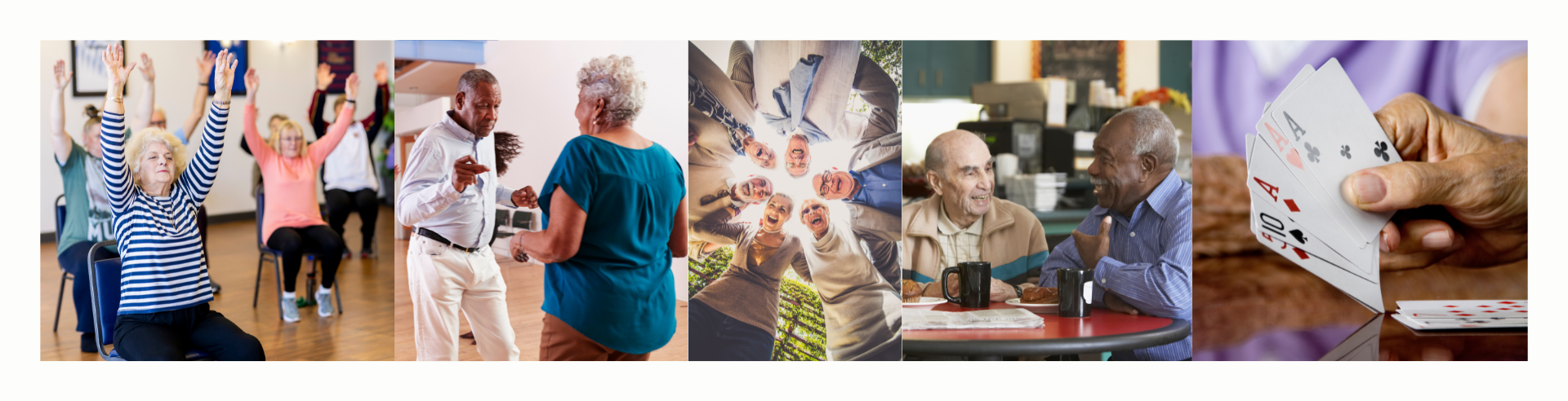 seniors web banner