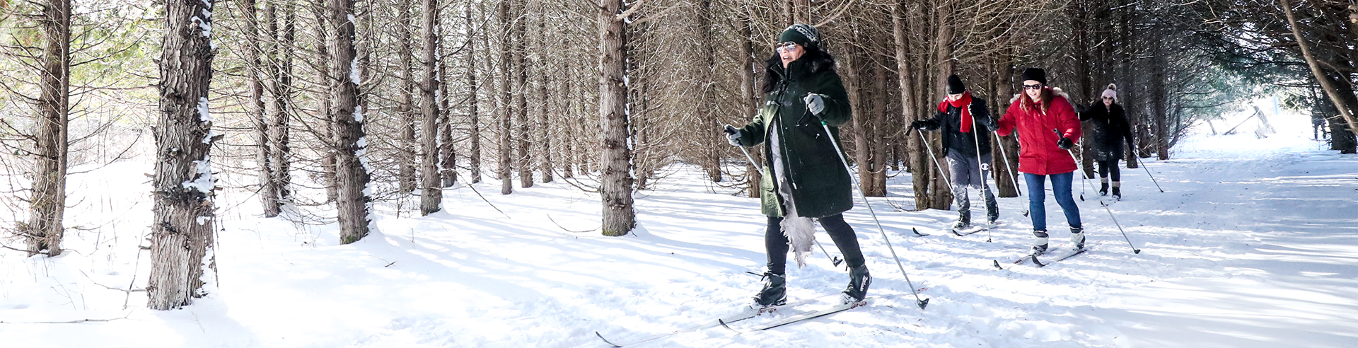 four people cross country skiing along trails at the cold creek conservation centre