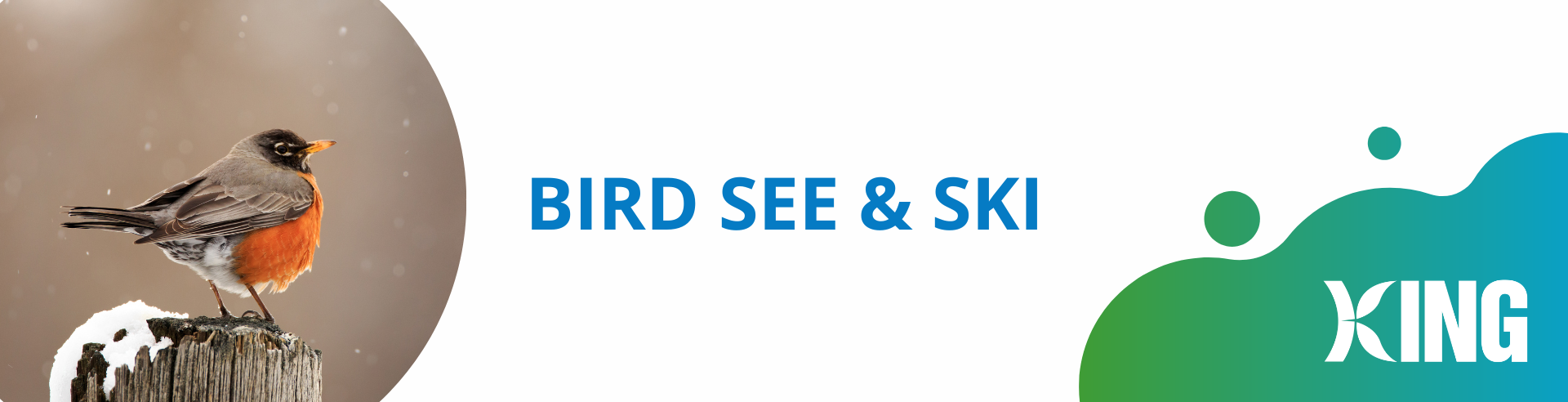 Bird See & Ski Event Header Template