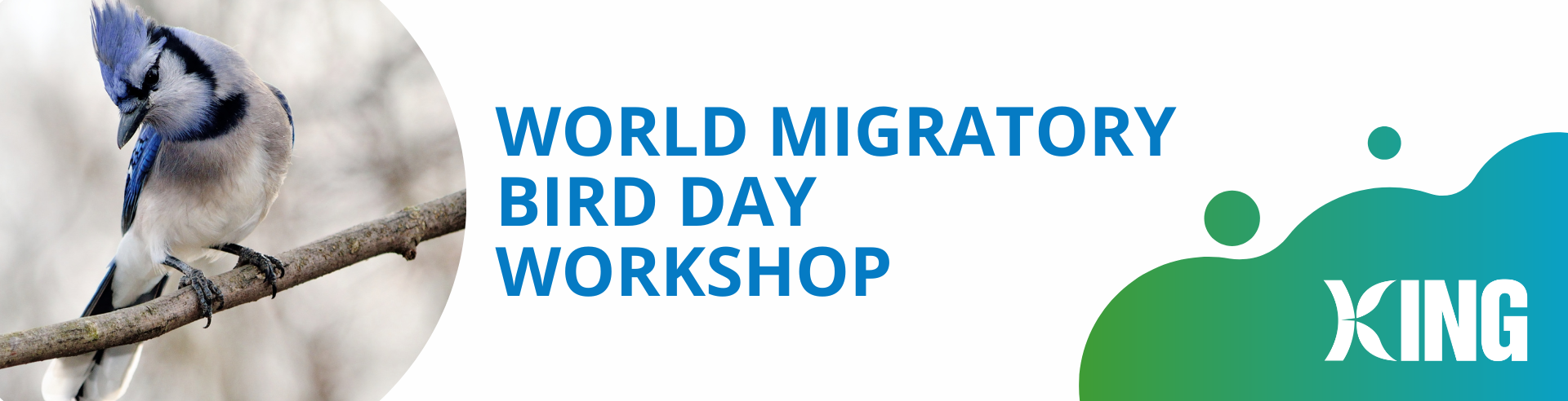 World Migratory Bird Day Photo Banner