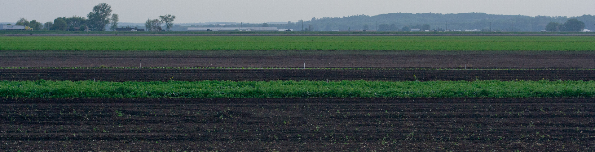 Farm land 