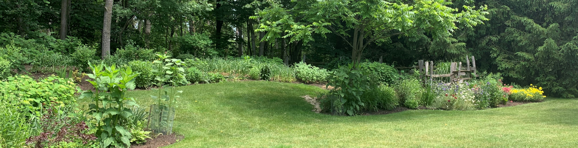 Green Yard