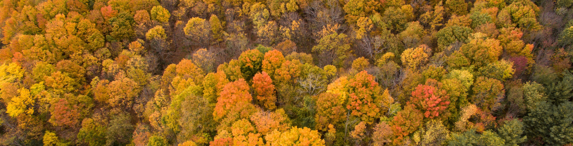 Fall Cold Creek