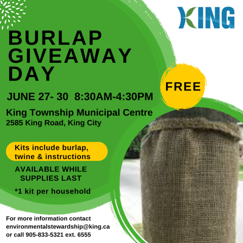 Burlap Giveaway Ad