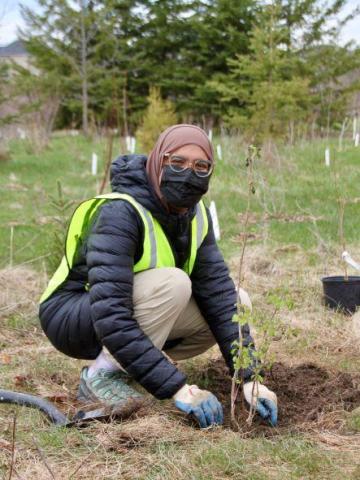 girl planting