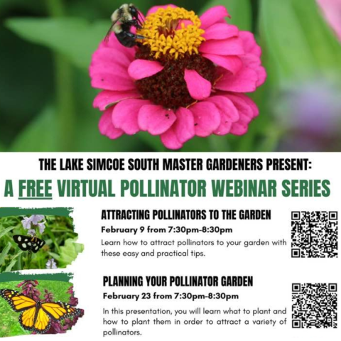 Pollinator Webinar